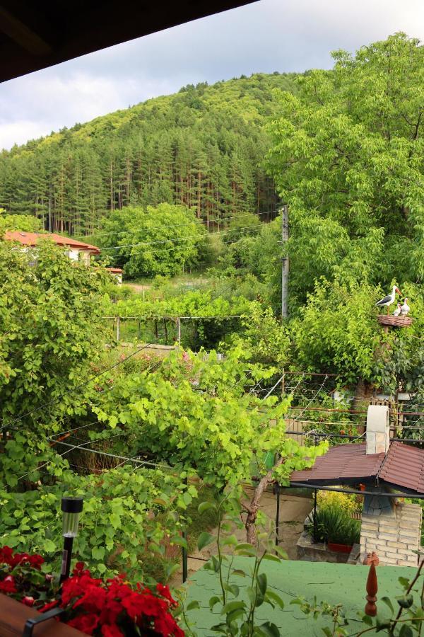 Green House - Попниколови Sapareva Banya Buitenkant foto