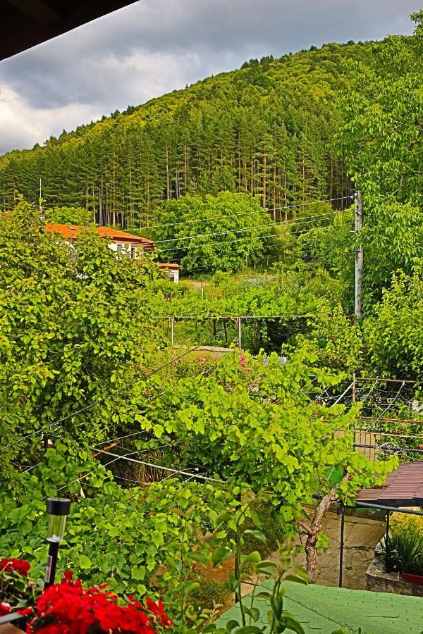 Green House - Попниколови Sapareva Banya Buitenkant foto